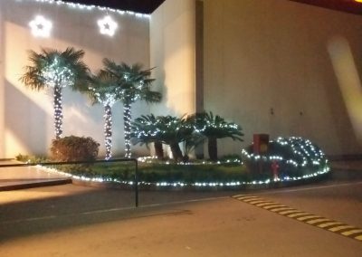 Luminarie San Salvo Realizza illuminazioni professionali per il tuo negozio, la tua città, o la tua cerimonia preferita. Lavoriamo sul territorio abruzzese, con sede a San Salvo. Illuminazioni san salvo, illuminazioni vasto, illuminazioni cupello, illuminazioni montenero, illuminazioni petacciato e dintorni.