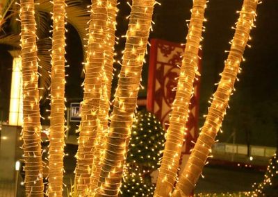 Luminarie San Salvo Realizza illuminazioni professionali per il tuo negozio, la tua città, o la tua cerimonia preferita. Lavoriamo sul territorio abruzzese, con sede a San Salvo. Illuminazioni san salvo, illuminazioni vasto, illuminazioni cupello, illuminazioni montenero, illuminazioni petacciato e dintorni.