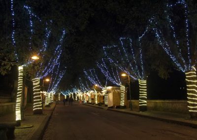 Luminarie San Salvo Realizza illuminazioni professionali per il tuo negozio, la tua città, o la tua cerimonia preferita. Lavoriamo sul territorio abruzzese, con sede a San Salvo. Illuminazioni san salvo, illuminazioni vasto, illuminazioni cupello, illuminazioni montenero, illuminazioni petacciato e dintorni.